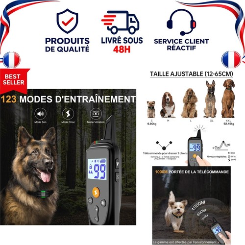 Collier dressage chien - de,