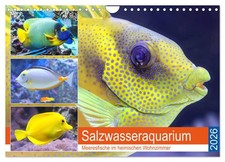 Aquarium d'eau salée. Des poissons marins dans votre salon (Calendrier mural 202