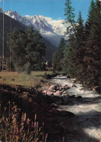 Chamonix mont blanc ski - 74,
