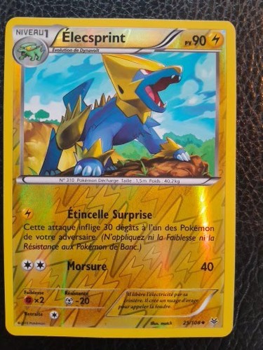 Elecsprint reverse xy6 ciel - reverse,