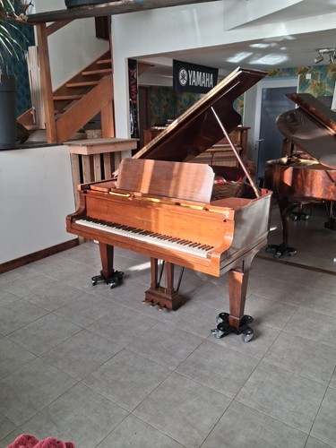 Piano queue steinway sons - queue,
