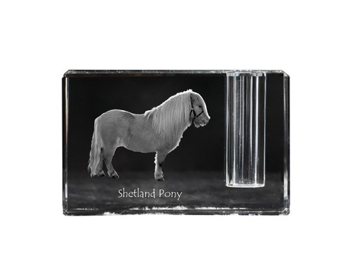 Poney shetland porte plume - shetland, en