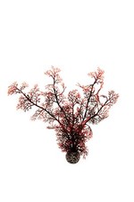 Corail corné M rouge foncé