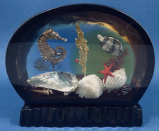 Inclusion en résine années