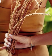 Khamaré, racine de vétiver, gongoli - Sepp -  7 Tiges