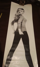 affiche , poster de porte