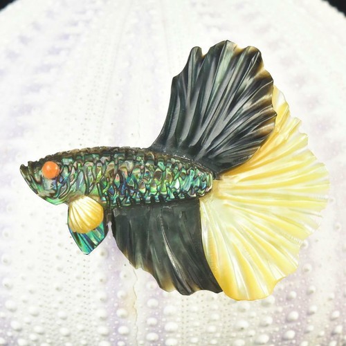 Siamois betta combattant - siamois,
