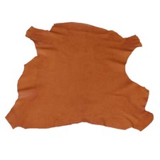 Peau entière de cuir de