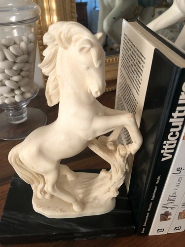 Serre livre cheval - , blanc