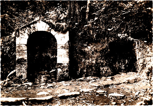 Corse corsica orezza les - corse,