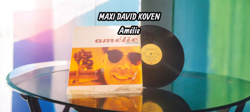 Disque maxi tours vinyle - disque,