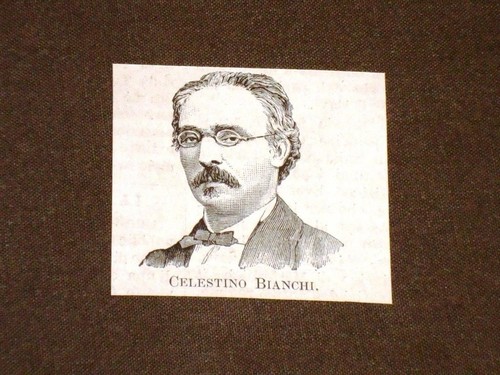 Honourable celestino bianchi - honourable,