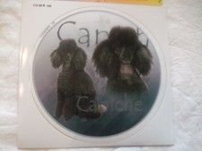 1 autocollant - motif chien