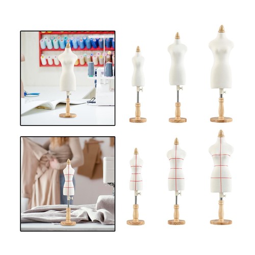 Torse mannequin féminin - torse,
