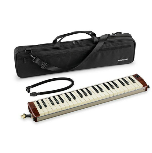 Suzuki hammond collaboration - hammond,
