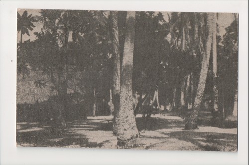 187 new hebrides vanuatu - new,