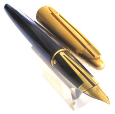 MAGNIFIQUE STYLO PLUME DE