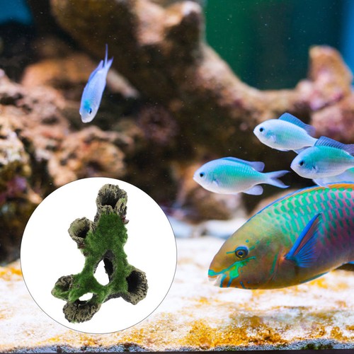 Aquarium fish tank - aquarium, cave