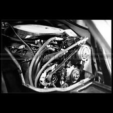 Photo A.022652 MONTEVERDI HAI