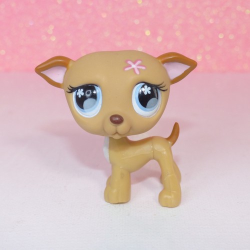 Authentic littlest lps 498 - authentic,