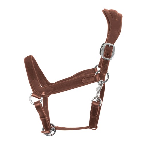 Weatherbeeta licol en cuir - -,