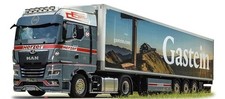 Herpa 954822 man - -, tgx