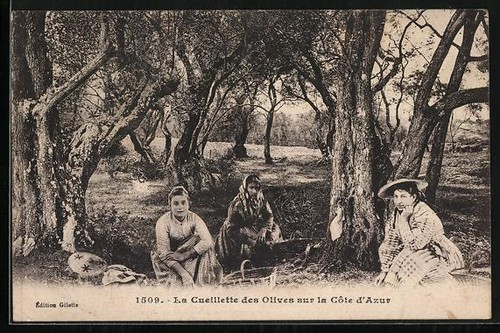 Carte postale cueillette - carte, la
