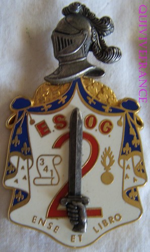 IN6935 - INSIGNE ESOG