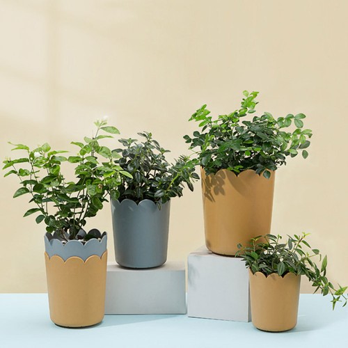 Sets mini pot fleur - sets,