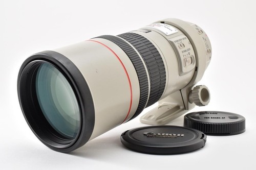 Canon 300mm f4l usm - canon,