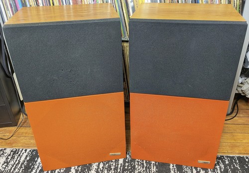 Vintage pair pioneer - vintage,