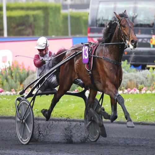 Méthode turf tempo galop - méthode,