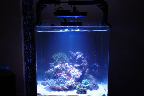 Maxspect mazarra series - maxspect,