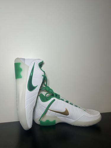 Nike lebron witness - nike, ix