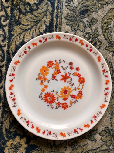Plat arcopal verre - verre, opale