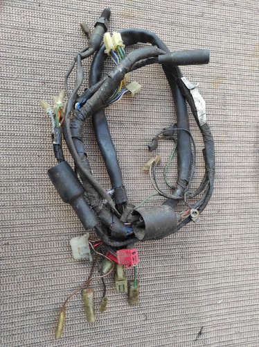Faisceaux électrique pour