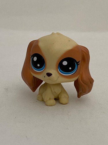 Petshop chien epagneul - -,
