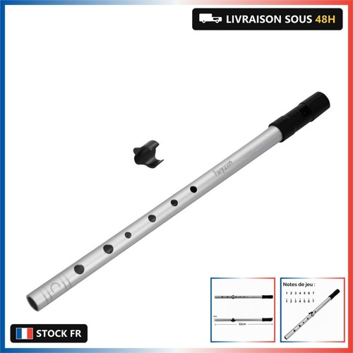 Rayzm tin penny whistle - rayzm,