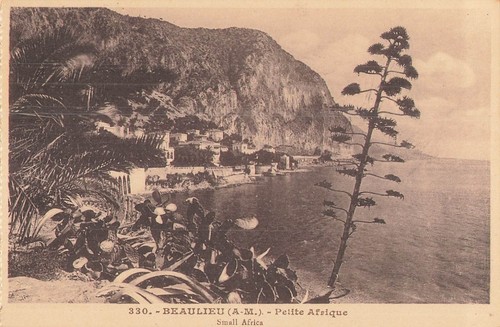 Beaulieu petite afrique - 06,