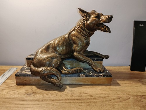 Ancien chien berger allemand - ancien,