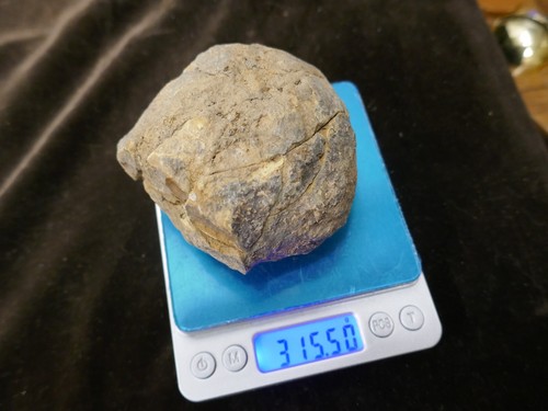 Géode avec trilobite - géode,
