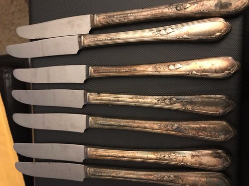 Antique stainless rogers - 7,