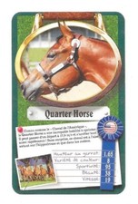 Carte Top Trumps - Chevaux ou Poneys - Quarter Horse