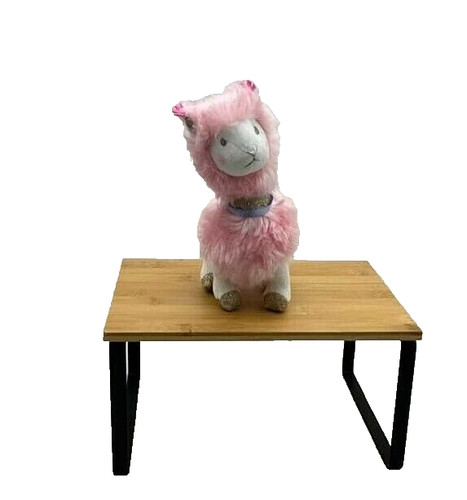 Histoire ours peluche lama - histoire,