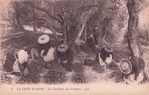 Carte postale ancienne