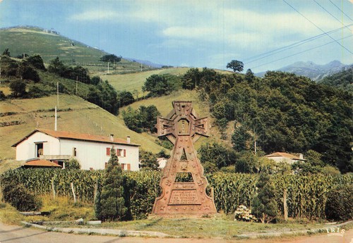 Bidarray basque cross - 64,