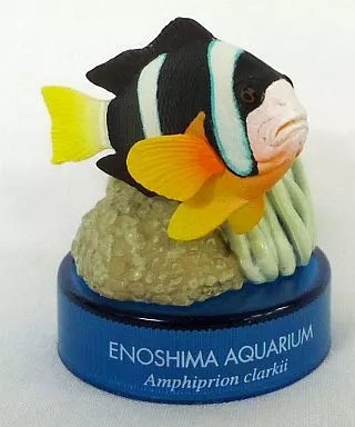Mini figurine poisson clown - mini,