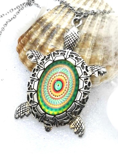 Jolie petite tortue - petite,