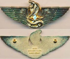 FORCES SPECIALES COMMANDO, Moniteur de Combat Spécialisé, C.T.2, doré (11116)