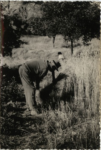 Photo ancienne vintage - photo,